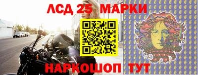 индика Славгород