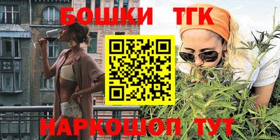 индика Славгород